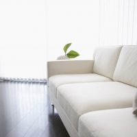 暮らしの通信2017夏